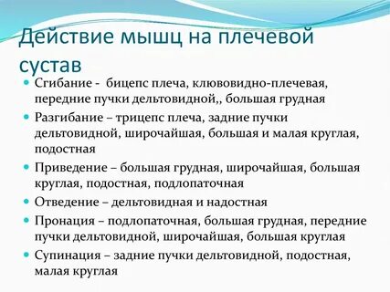 Действие мышц