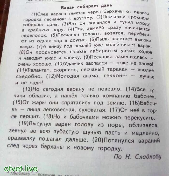 Варан собирает дань основная мысль текста. Варан собирает дань ВПР ответы. Основная мысль текста переполох в Южной Африке.