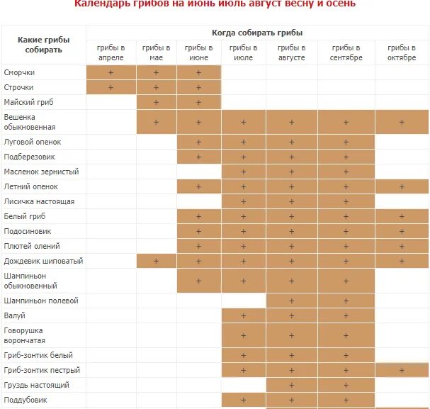 Таблица сбора грибов по месяцам. Таблица сбора грибов в Подмосковье. График сбора грибов по месяцам. Таблица грибов когда растут.