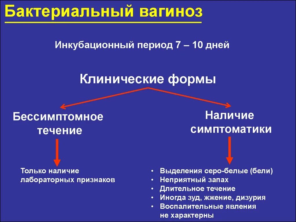 Клинические симптомы бактериального вагиноза. Факторы риска бактериального вагиноза. Бактериальный вагиноз характеризуется следующими признаками.