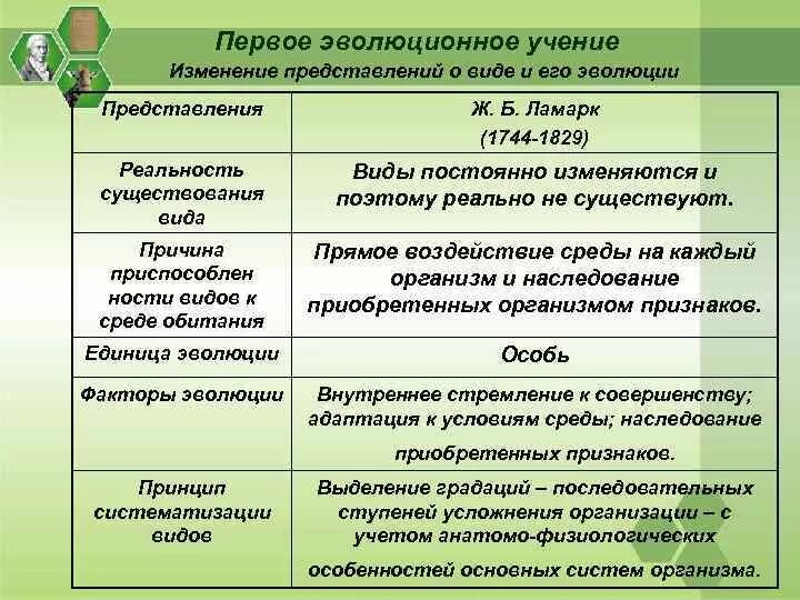 Эволюция представлений. Учение Дарвина и синтетической теории эволюции. Эволюционные представления таблица. Сравнительная характеристика эволюционных теорий. Эволюционные идеи таблица