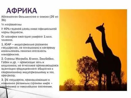 Годом африки называют