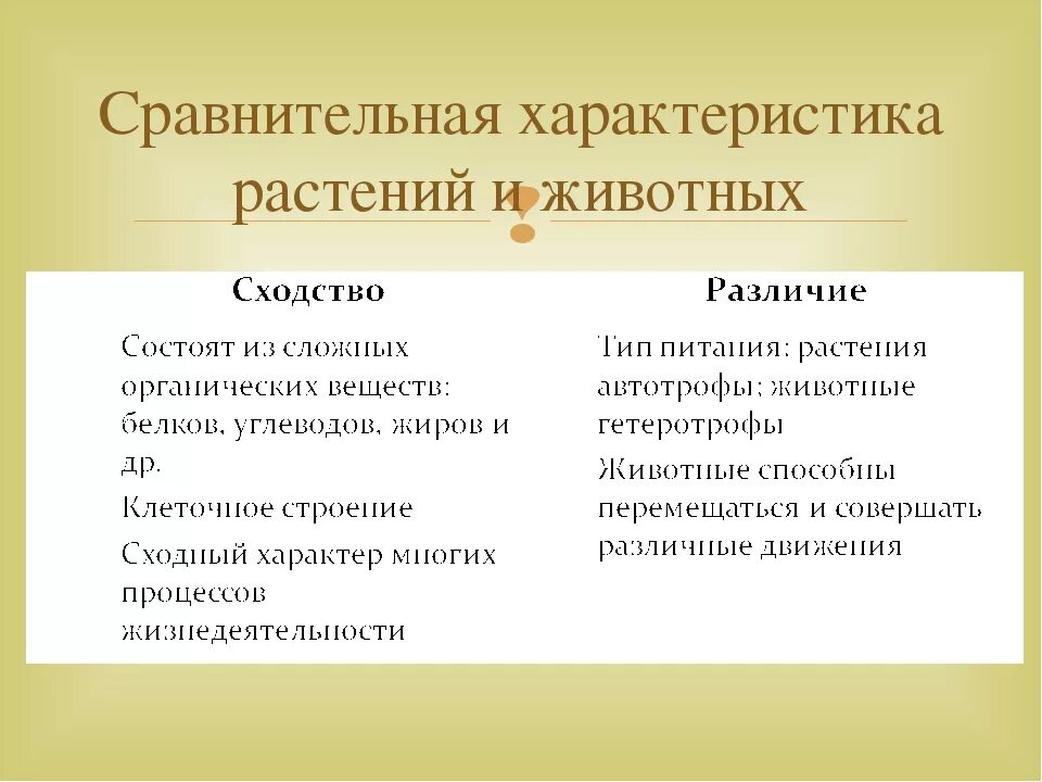 О чем свидетельствует сходство и различие. Сравнительная таблица растения и животные. Сходство растений и животных. Сходства и различия животных и растений. Таблица сходства и различия животных и растений.