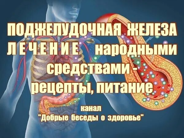 Как вылечить поджелудочную железу