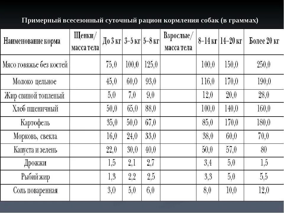 Рацион кормления собак. Суточный рацион питания собаки. Таблица рациона собаки. Таблицы для составления рациона питания для собак.