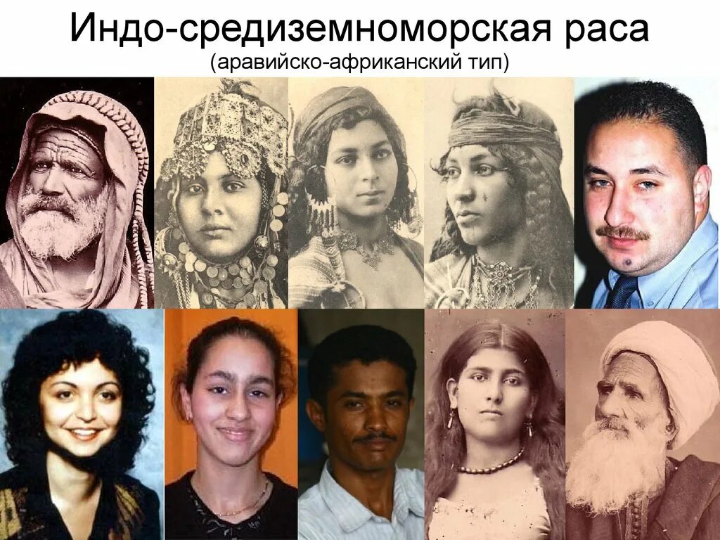 Расы западной европы