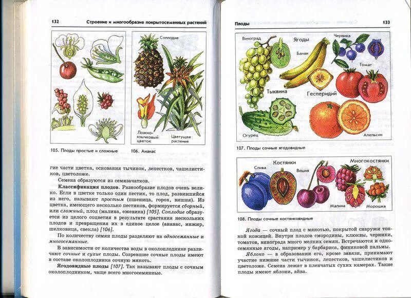 Тест по биологии плоды тема плоды. Таблица по биологии 6 класс плоды Пасечник. Биология 6 класс учебник плоды. Таблица плодов 6 класс биология. Плоды и растения биология 6 класс учебник.