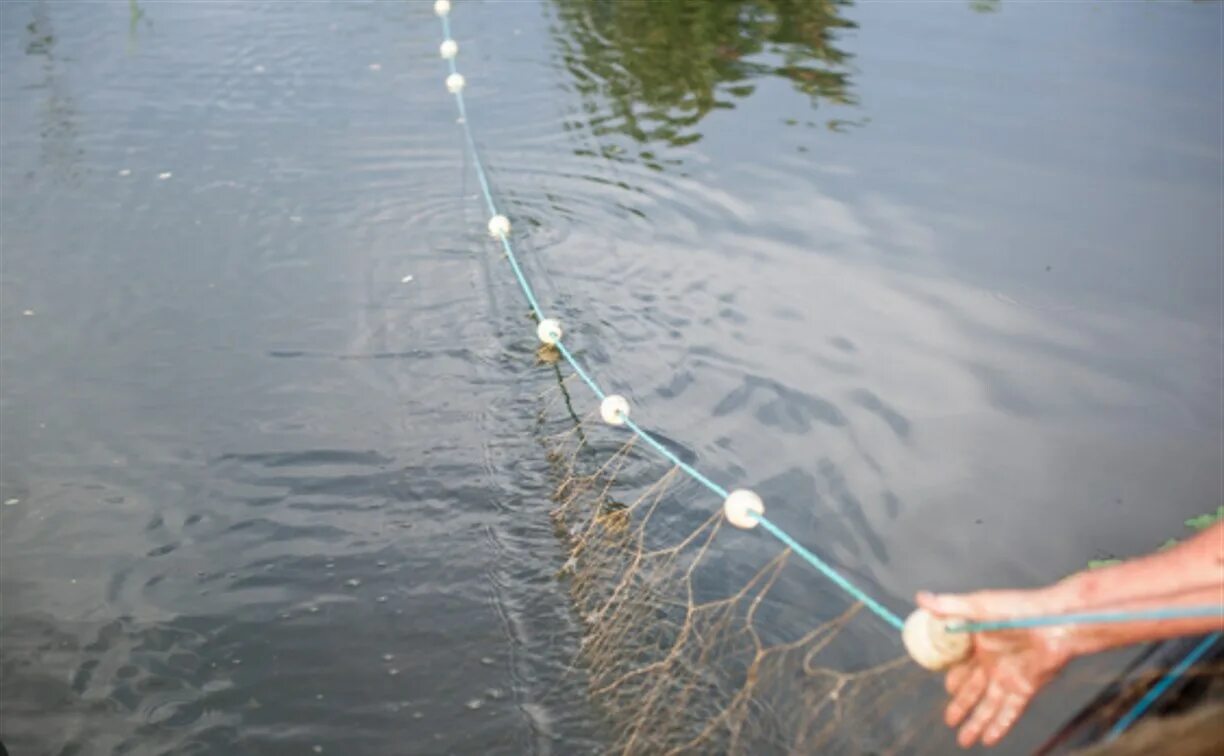 Рыбалка сетью на реке. Браконьерские снасти. Сеть для рыбалки. Рыбацкая сеть. Ловля сетями.