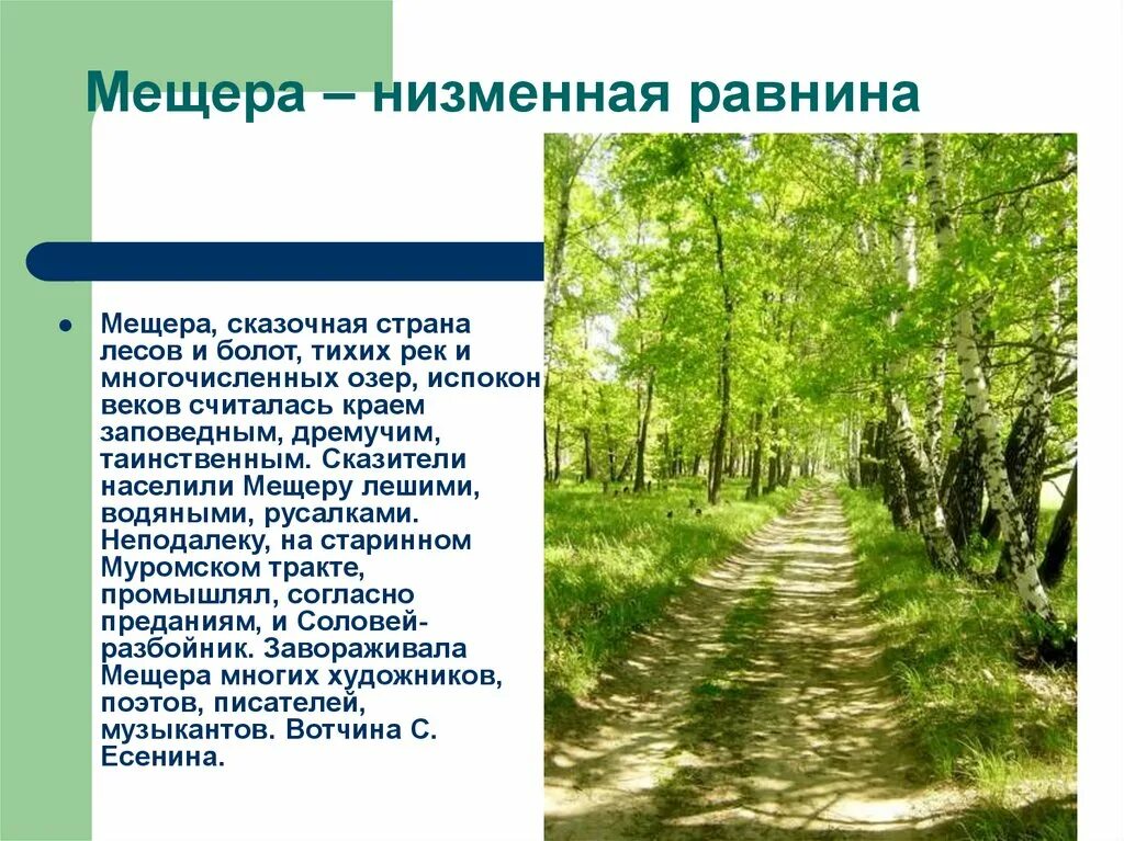 Текст мещера. Памятники природы русской равнины. Памятники природы Восточно европейской равнины. Русская равнина природа. Памятники природы Восточно европейской равнины 8 класс.