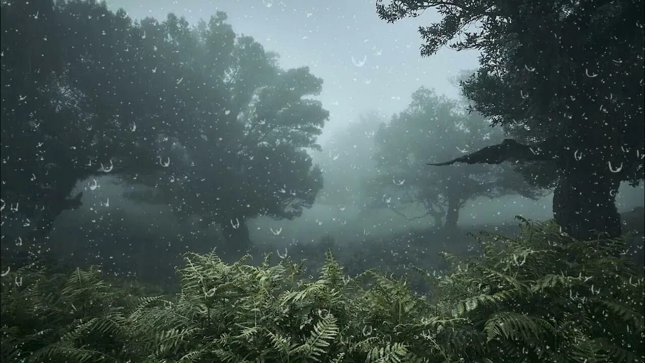Ливень для сна. Релакс лес с дождём. Звуки дождя в лесу. Звук дождя и грома для глубокого сна. Дождь и расслабление.