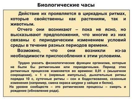 Биологическое время органов