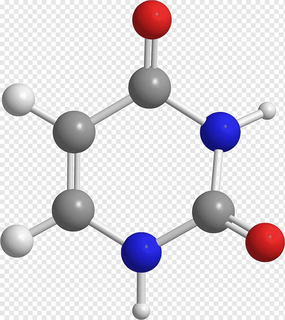 Различие между атомом и молекулой. Химический элемент и вещество. Урацил пиримидиновое основание. Пиримидиновые производные нуклеиновых кислот. Молекула воды состоит из.