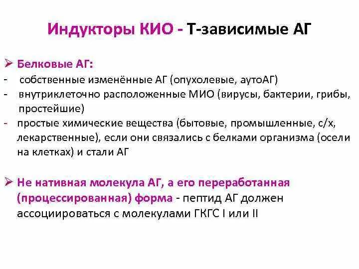 Т зависимые. Т зависимые АГ образование стадии. Т-зависимые и т-независимые антигены. Т зависимый и т независимый иммунный ответ. Белковый АГ.