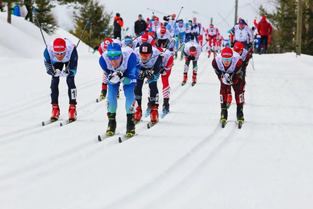 малиновка чемпионат. малиновка чемпионат. малиновка центр лыжного спорта. центр лыжного спорта малиновка архангельская область. малиновка чемпионат.