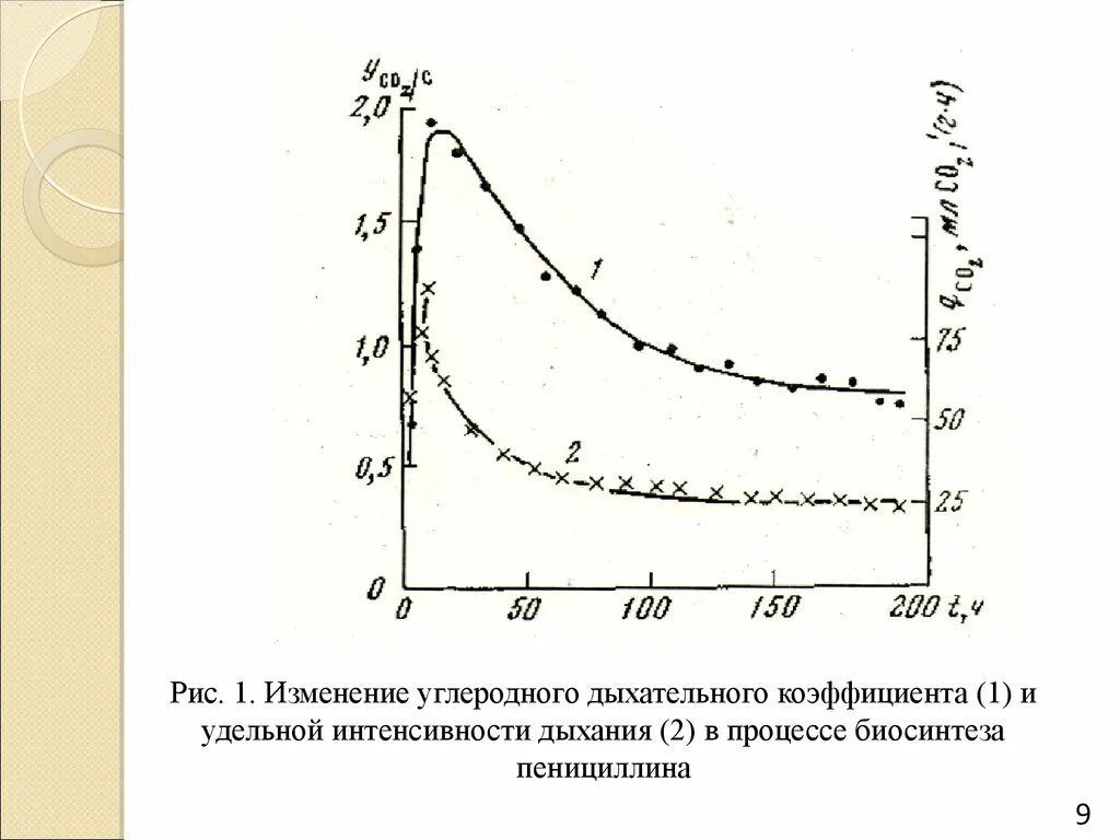 Дыхательный коэффициент. Что такое интенсивность дыхания и дыхательный коэффициент?. Дыхательный коэффц. Удельная интенсивность. Дыхательный коэффициент это