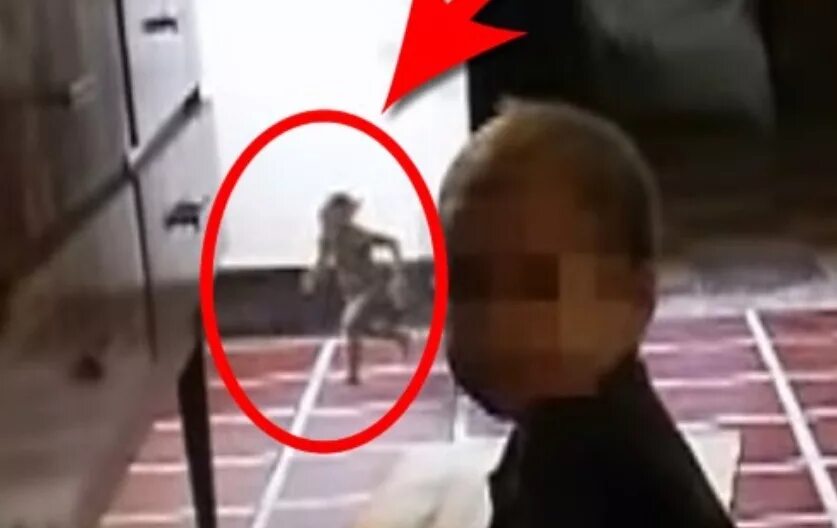 домовой в реальнойжищни. как выглядит домовой в реальной жизни настоящий. домовойв реальноц жизни. существуют ди на спиом желе домовые. домовойв реальноц жизни.