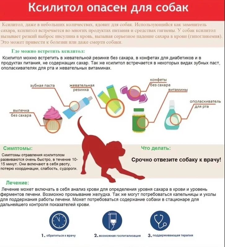 Можно давать печень щенку. Токсичная еда для собак. Инфографика собаки. Инфографики про животных. Ветеринарные советы в картинках.