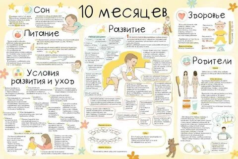 Развитие 9 10 месяцев