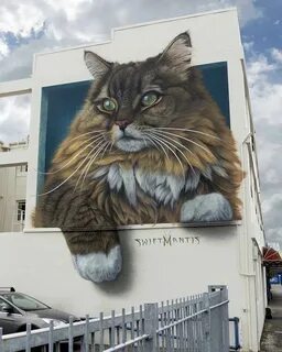Фрески коты