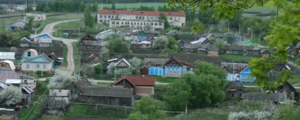 Погода поселке октябрьский павловский. Евлейка Павловский район Ульяновской области. Ульяновская область село Евлейка. Село Мосеевка Старокулаткинского района. Село старый Пичеур Павловского района Ульяновской области.