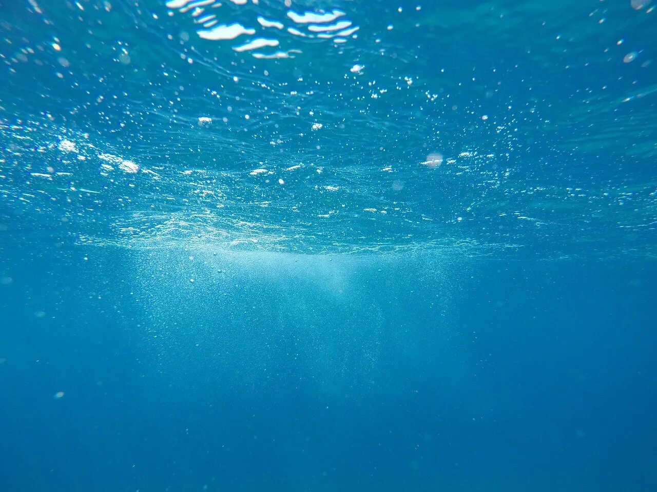 Поверхность воды снизу. Океан под водой. Море под водой. Толща океана. Море вода.