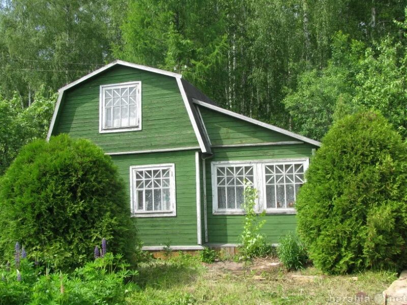 Недорогая дача. Недвижимость дачи. Дачный домик по Ярославке. Дачный домик с землёй 500 тысяч.