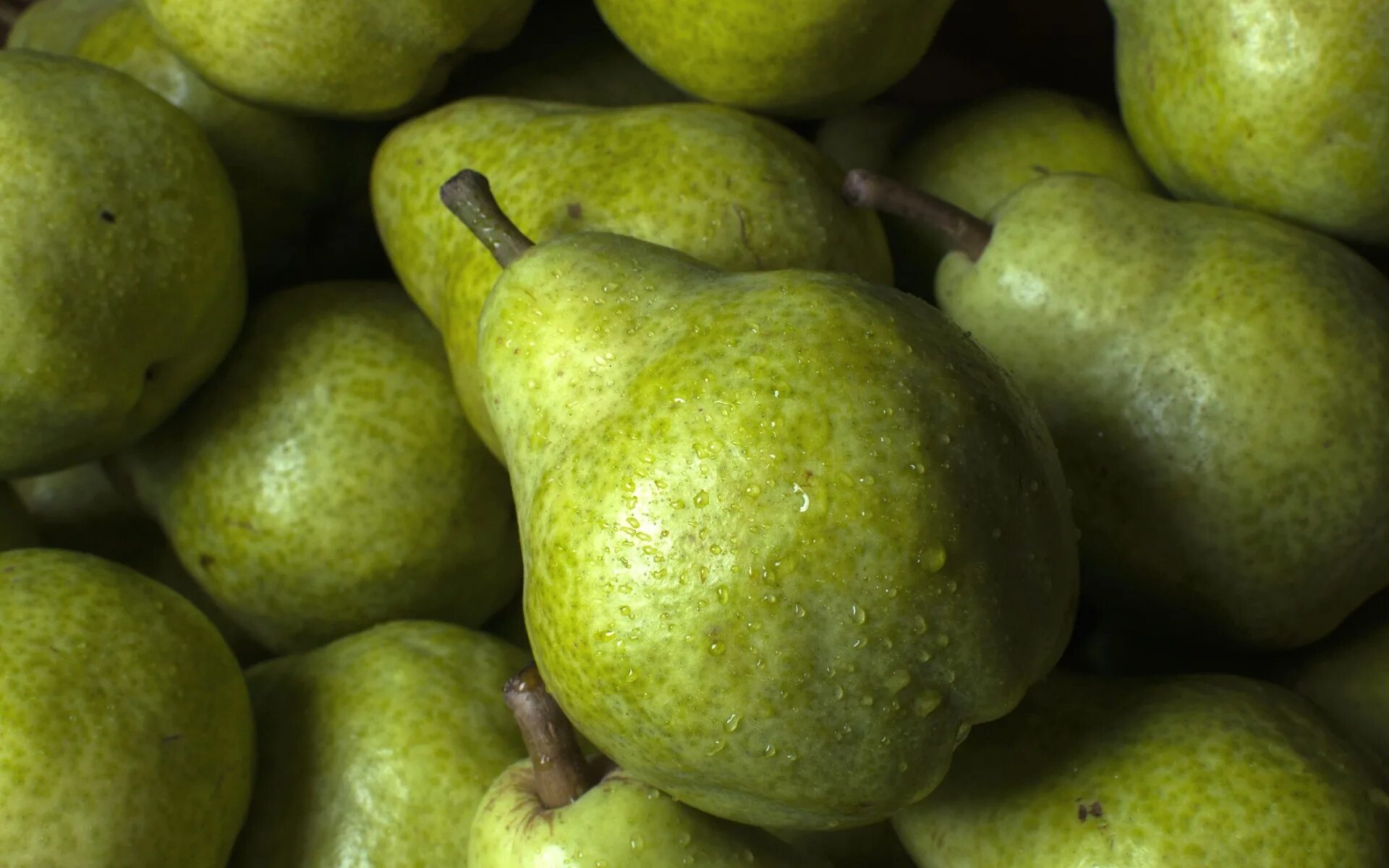 Mazzone pear. Груша Армут. Шервуд груша зеленый. Груша (плод). Груша зеленая сорт.