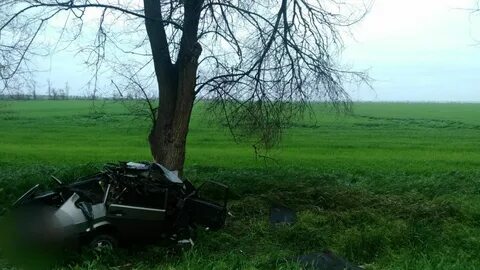 Погода в красочном