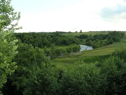 Д городище