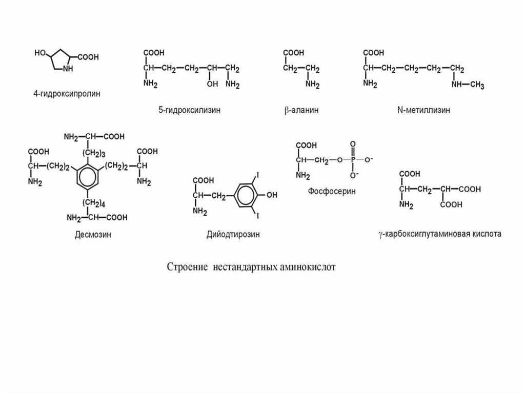 20 Аминокислот классификация. Аминокислоты строение и классификация биохимия. Аминокислоты классификация строение и свойства. 2. Классификация аминокислот по химическому строению радикалов.