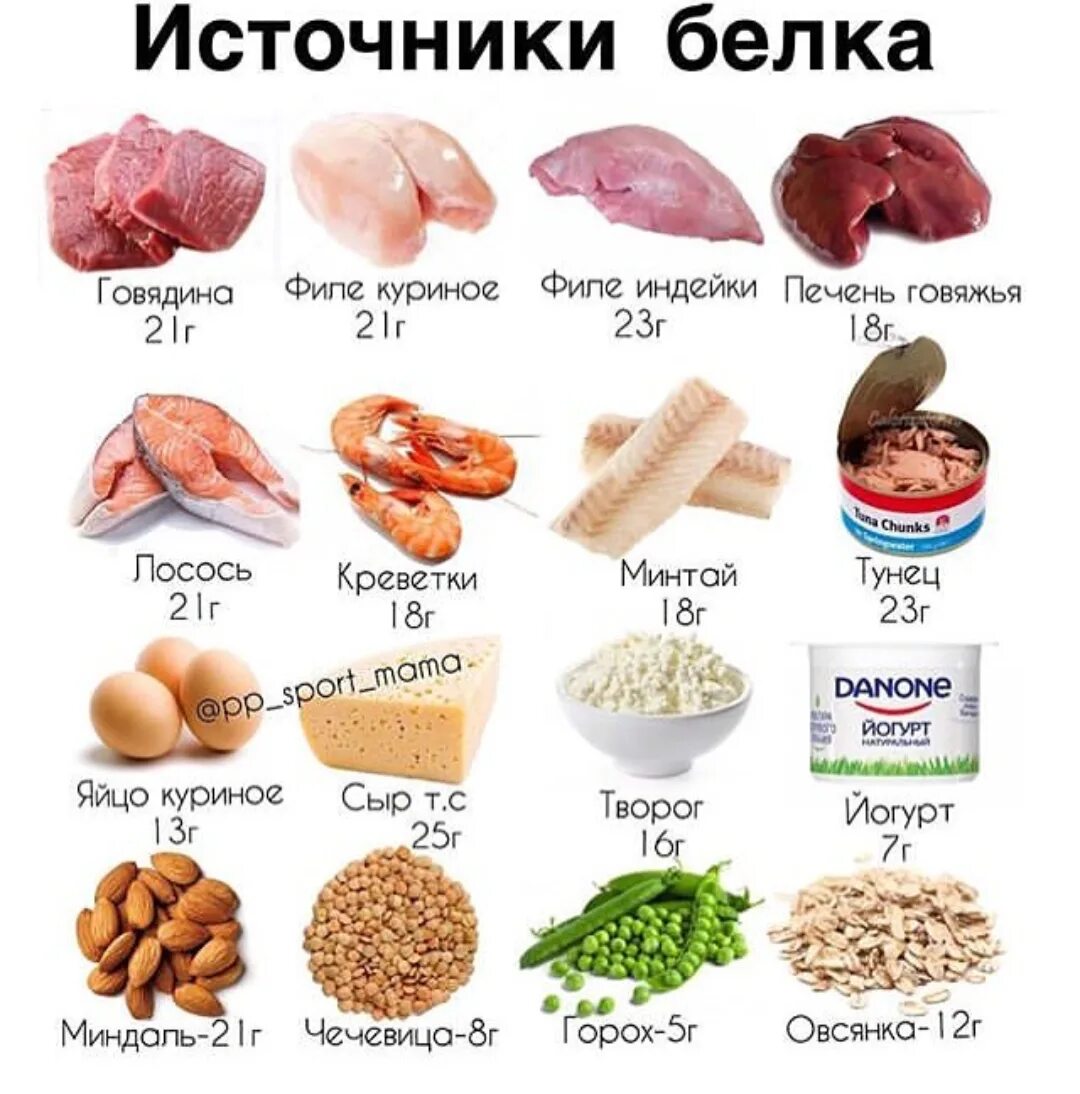 Соотношение белков в пище. Продукты содержащие белки список продуктов. Пища с высоким содержанием белка. Еда с содержанием белка список продуктов. Продукты с высоким содержанием белка.