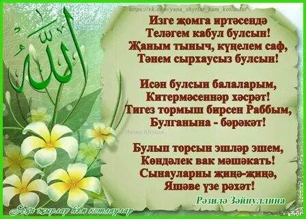 Рима зайтун туган булгач шундый булсын