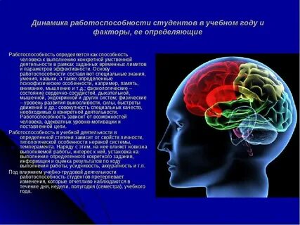Основа работоспособности человека