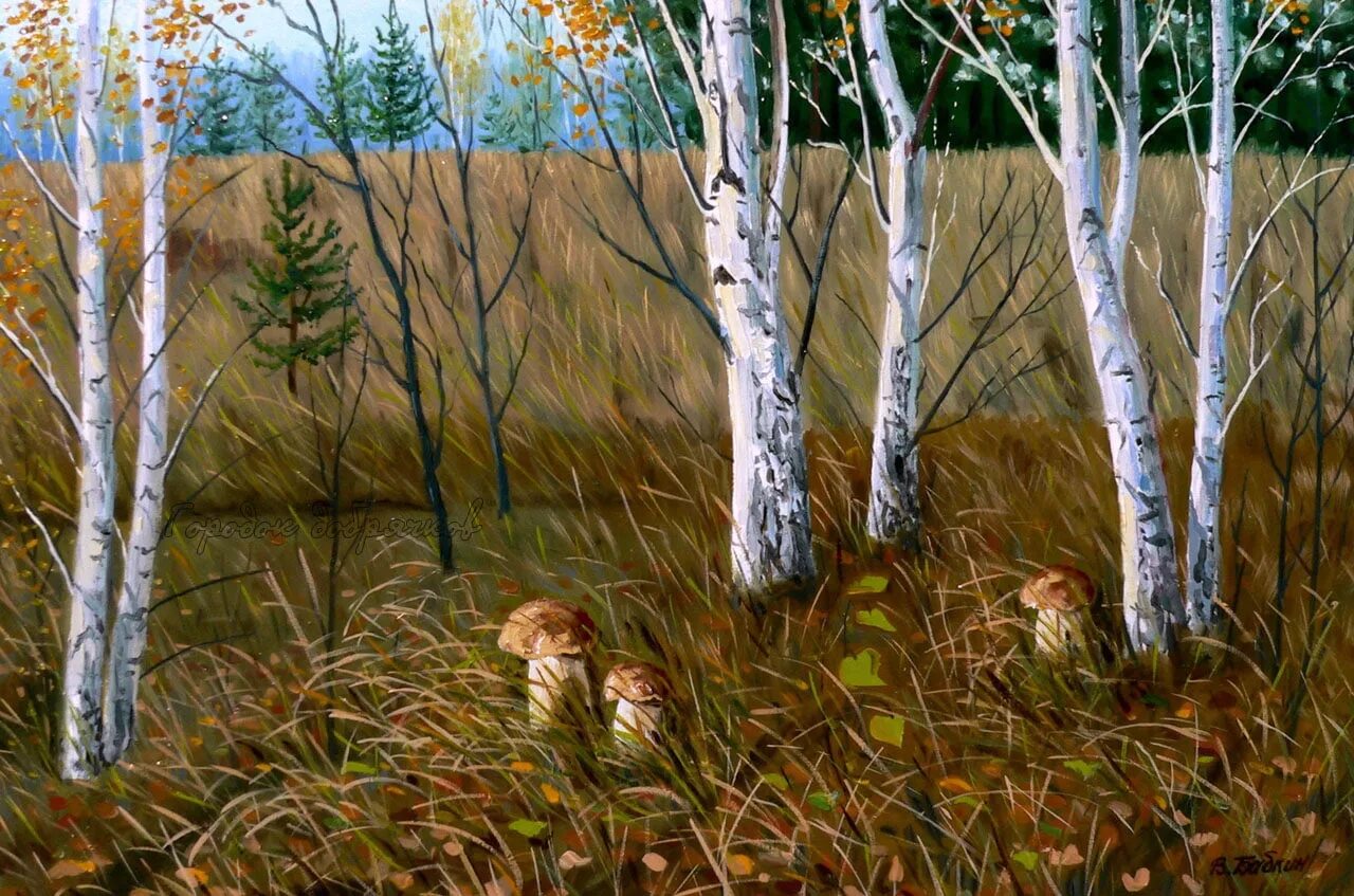 Грибная Поляна живопись. Грибы в Березовом лесу. Картина с изображением леса. Березовый лес с грибами.