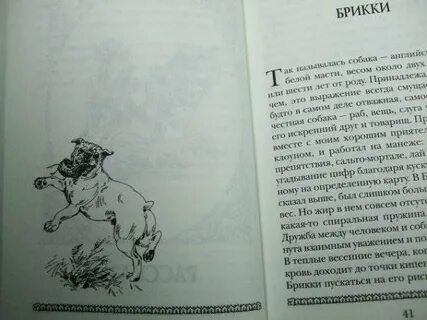 Куприн барбос и жулька читательский дневник 4