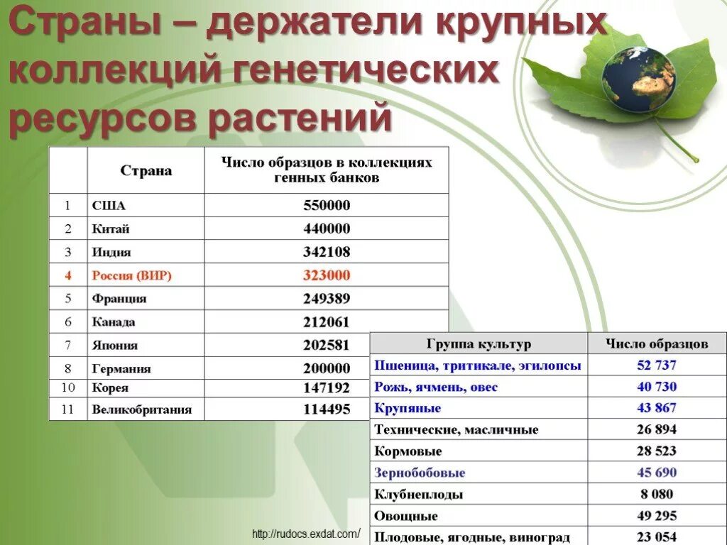 Сохранение генетических ресурсов. Сохранение генетических ресурсов растений. растительные генетические ресурсы. генетический банк растений. генетические ресурсы сохранение.