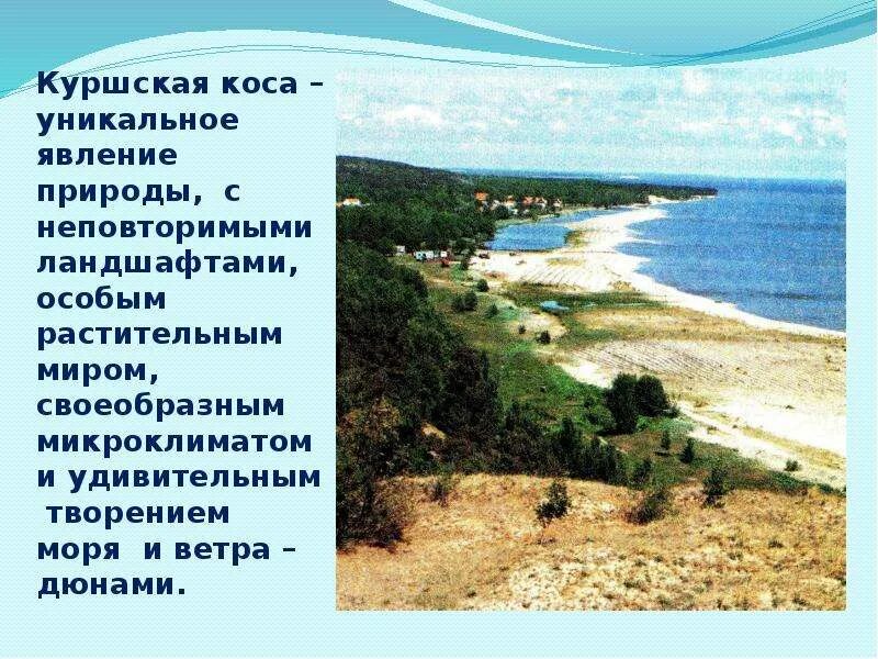 Сообщение про куршскую косу. Сообщение про куршскую косу