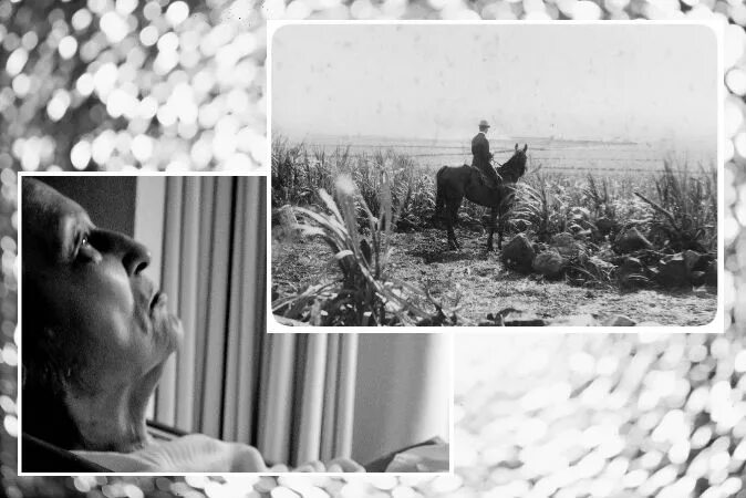 видение умерших