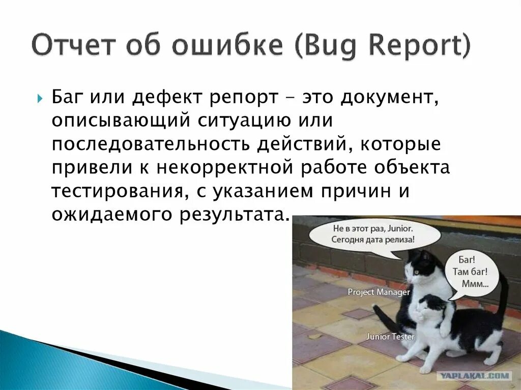 Bug ошибка. Артефакты тестирования. ожидаемый и результат в баг репорте. ошибка bug report. структура баг репорта.