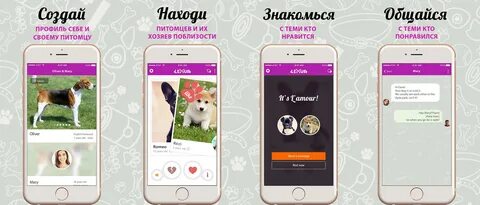 Pet создать