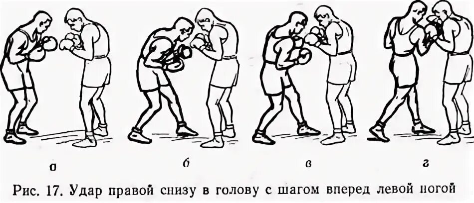 Боковой удар левой в голову. Удар снизу в боксе. Специальные упражнения боксера 1957 в.и.Огуренков. Техника ближнего боя. Удар снизу вверх