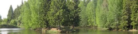 Лесничество краснотурьинск