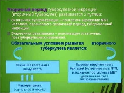 Распространение туберкулезной инфекции