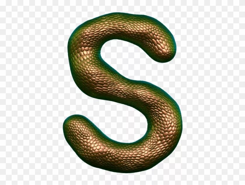 D snake. Змея буквой s. Буквы из змей. Буква з змейка. Буква s змейка.