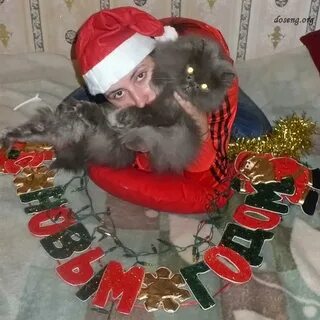 Новый год бро