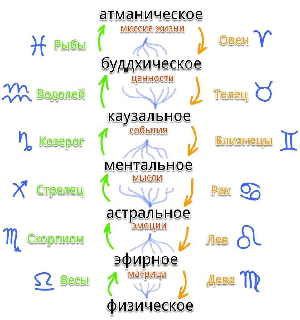 Структура тонких тел человека. Чакры энергетические центры тонких тел. Ментальное астральное и эфирное тело человека. 7 Тел человека тонкоматериальная структура. Ментальное оружие что это такое простыми словами