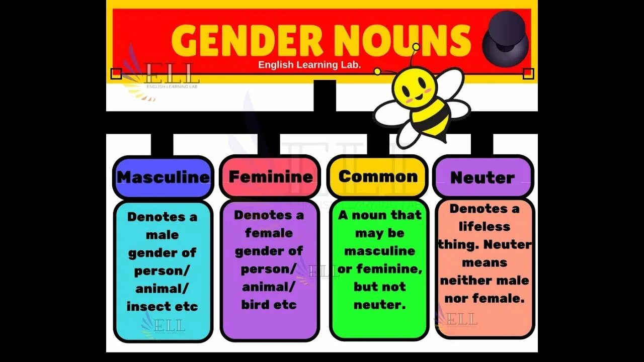 Английское слово пол. Gender of Nouns in English. Nouns в английском. Masculine Gender Nouns. Nouns in English Grammar.