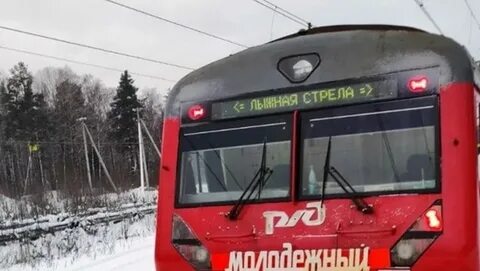 Лыжная стрела 2024