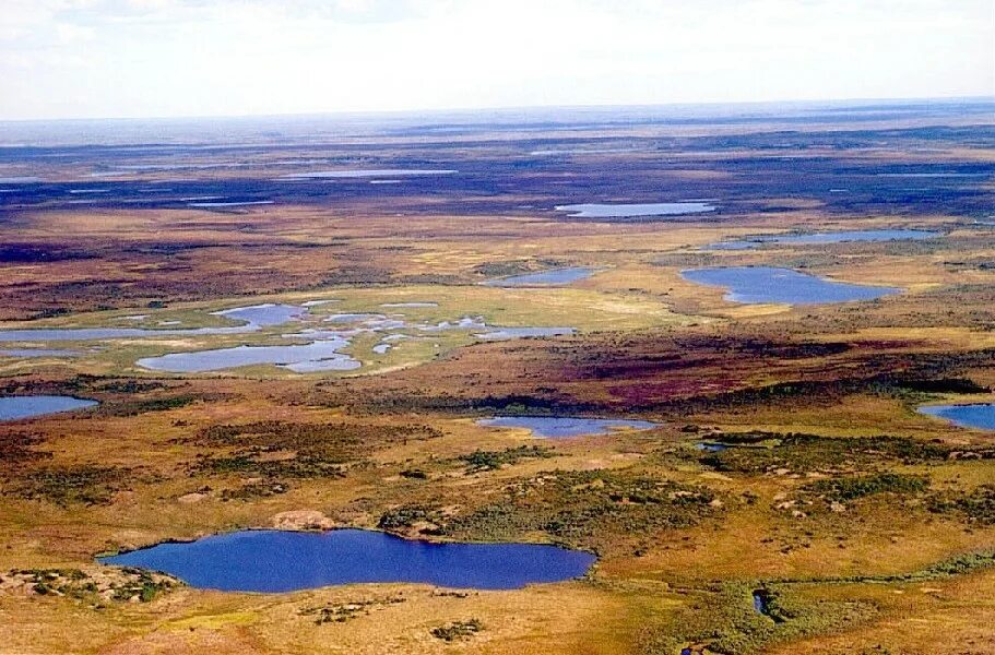 Северо сибирская низменность природная. Большеземельская тундра. Термокарстовые озера Таймыр. Большеземельская тундра это низменность. Термокарстовые озера Якутии.