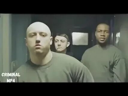 Гиа пик дельфин